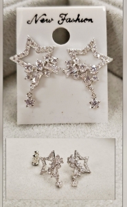 Earrings ER19-EH546